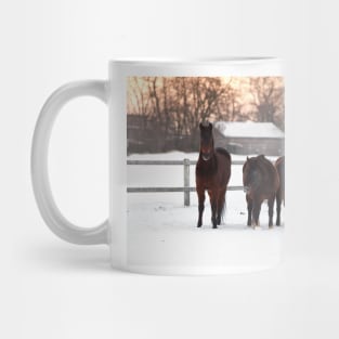 Four horses on winter paddock Mug